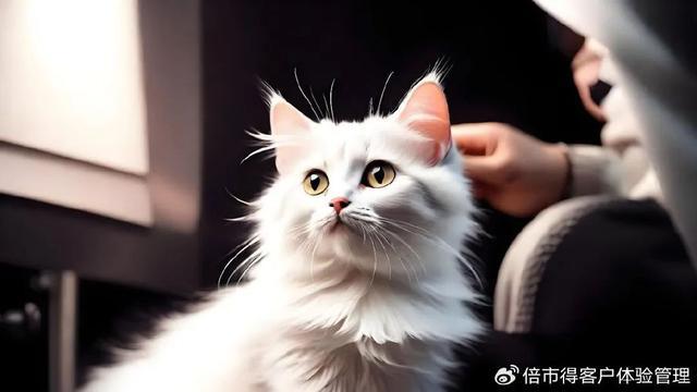 （一）：精细化、智能化、个性化九游会J9入口宠物消费新趋势(图1)